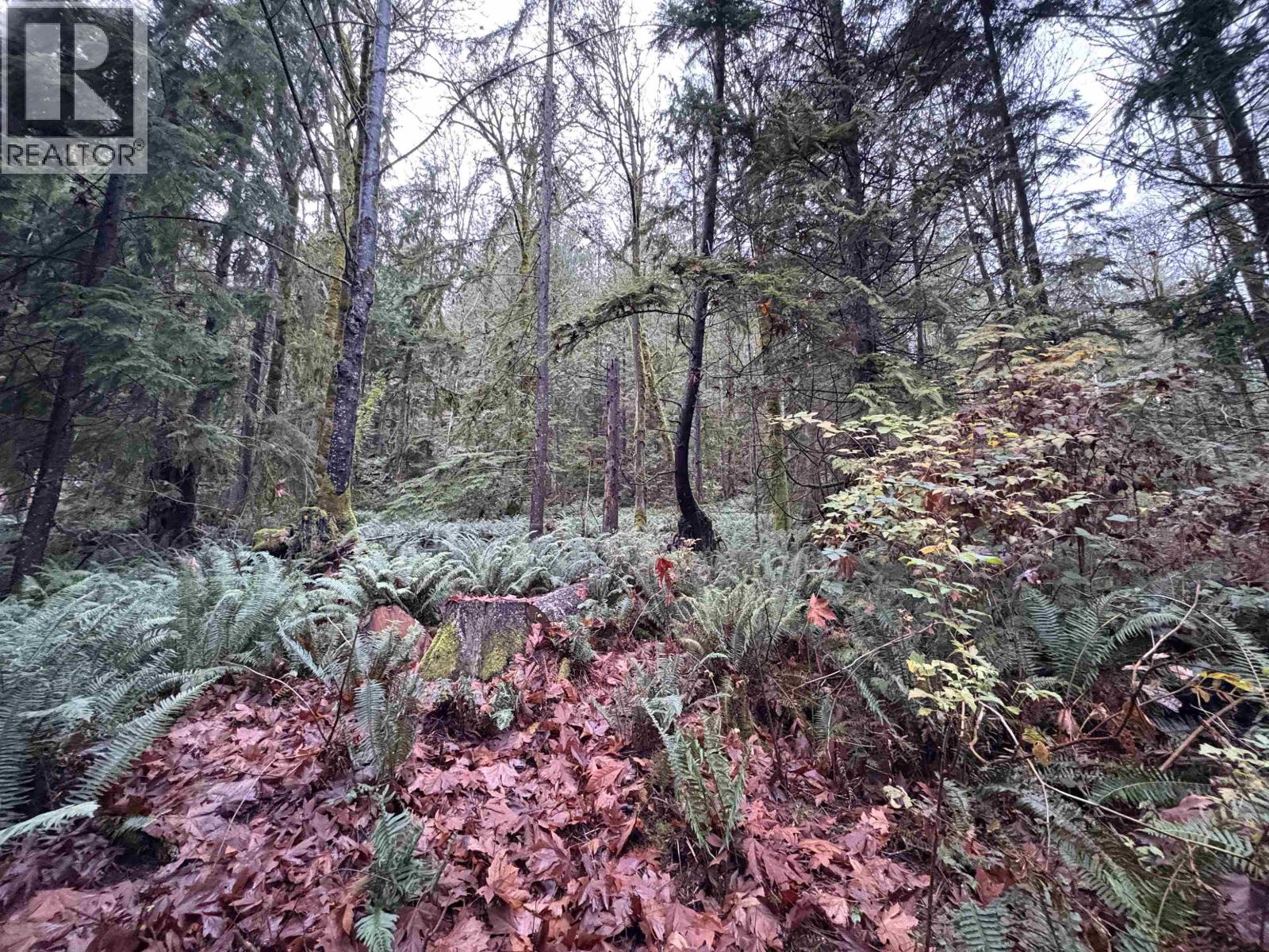 901 West Bay Road, Gambier Island, British Columbia  V0N 1V0 - Photo 7 - R3070835