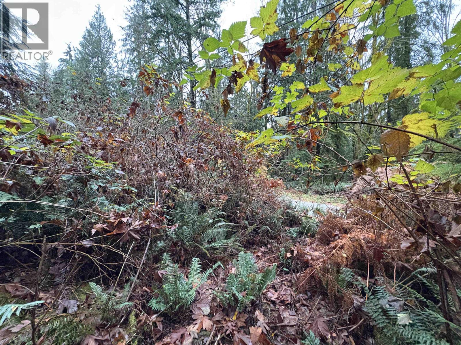 901 West Bay Road, Gambier Island, British Columbia  V0N 1V0 - Photo 8 - R3070835