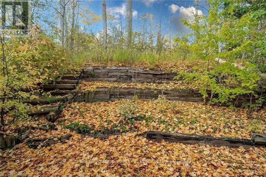 Basement - 218 Ingleside Place, Kitchener, Ontario  N2M 2H2 - Photo 15 - X12584968