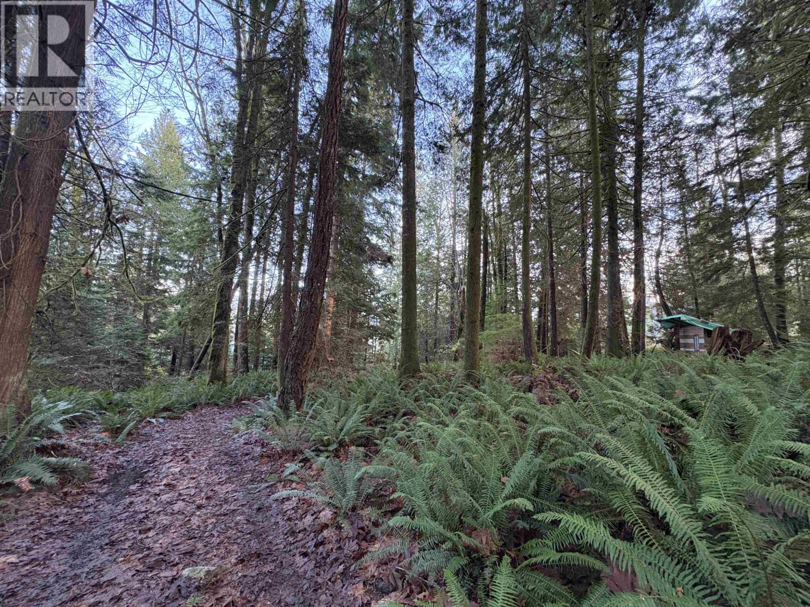 815 The Grove Road, Gambier Island, British Columbia  V0N 1V0 - Photo 28 - R3070833