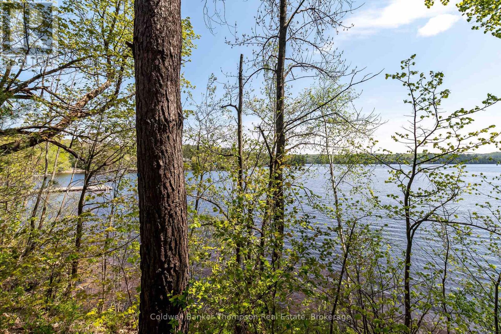 631 60 Highway, Huntsville, Ontario P1H 1B4 - Photo 11 - X12585182