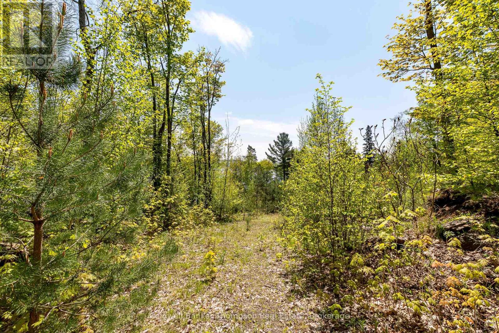 631 60 Highway, Huntsville, Ontario P1H 1B4 - Photo 5 - X12585182