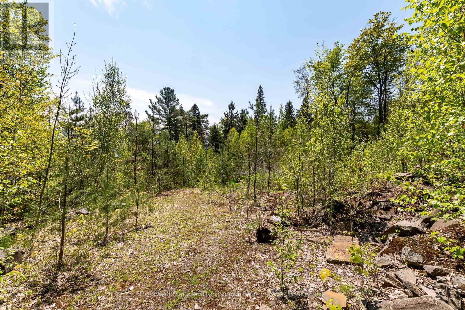 631 60 Highway, Huntsville, Ontario P1H 1B4 - Photo 6 - X12585182