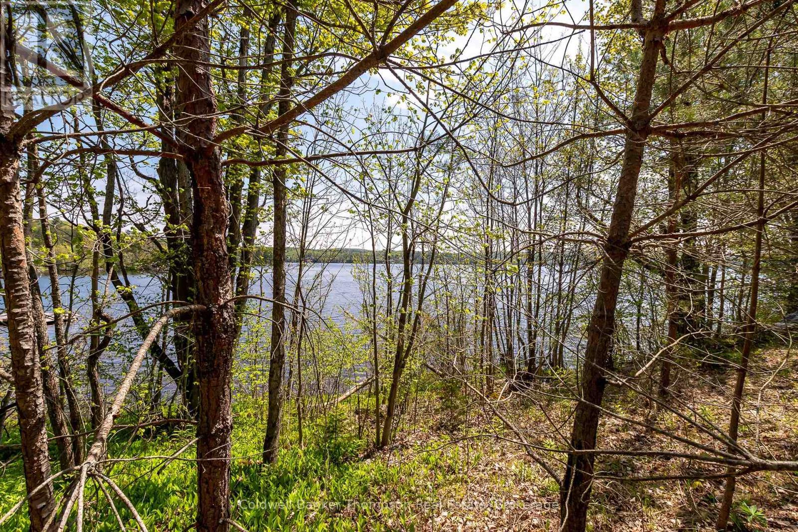 631 60 Highway, Huntsville, Ontario P1H 1B4 - Photo 9 - X12585182