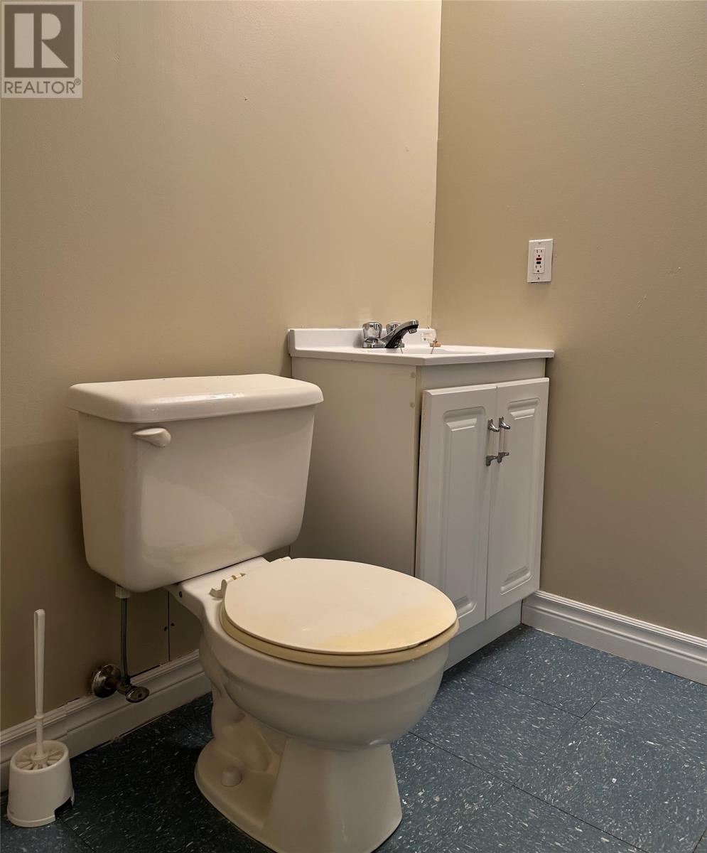 4 Cape Broyle Place, St. John's, Newfoundland & Labrador  A1E 5X4 - Photo 42 - 1292992