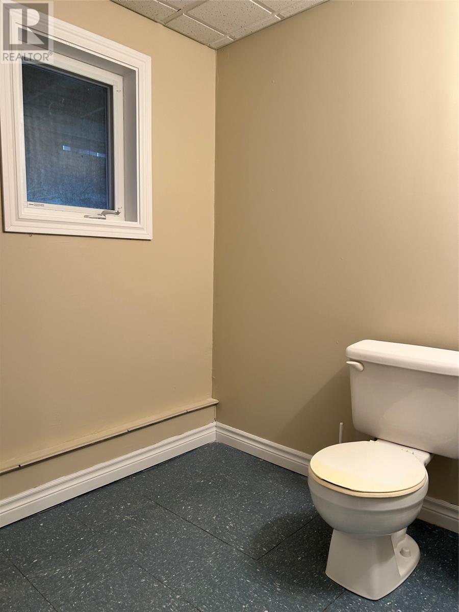 4 Cape Broyle Place, St. John's, Newfoundland & Labrador  A1E 5X4 - Photo 45 - 1292992