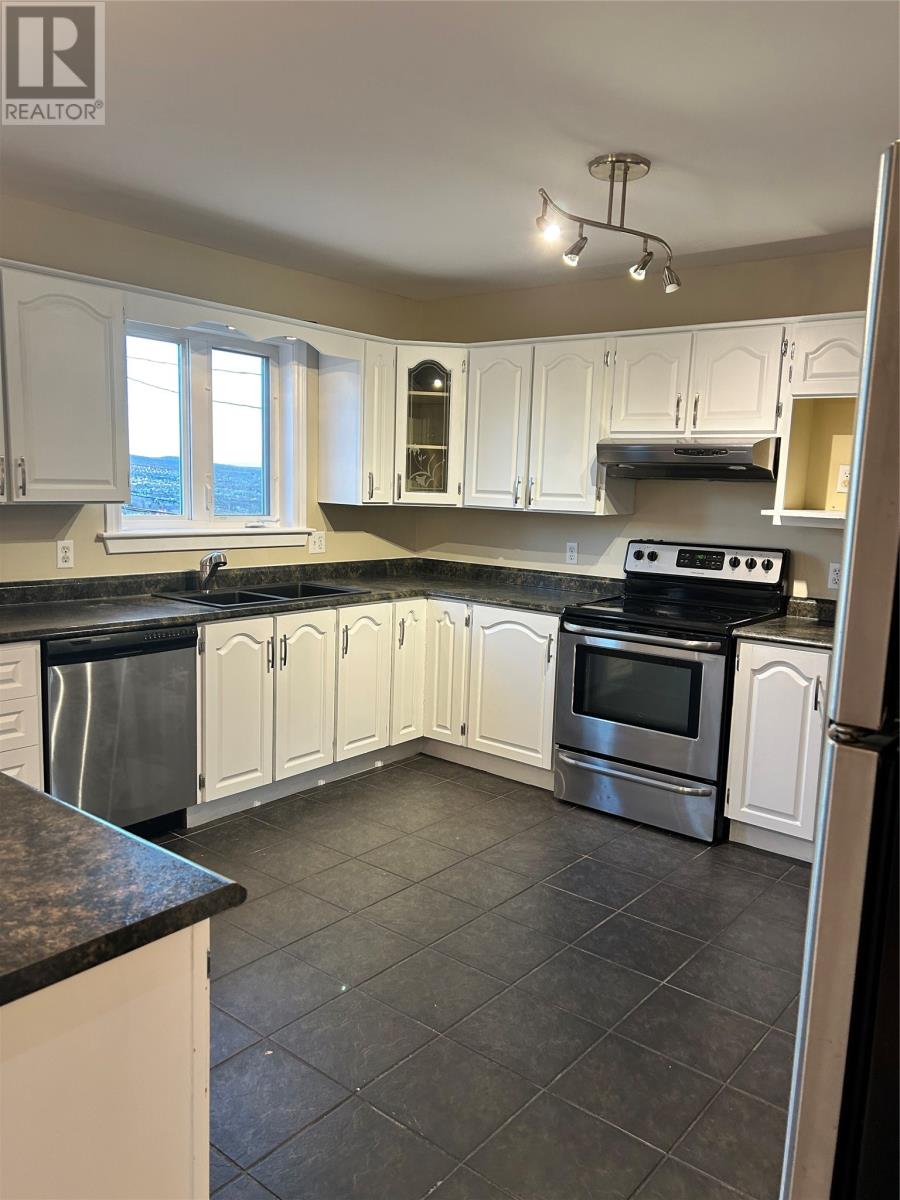 4 Cape Broyle Place, St. John's, Newfoundland & Labrador  A1E 5X4 - Photo 46 - 1292992