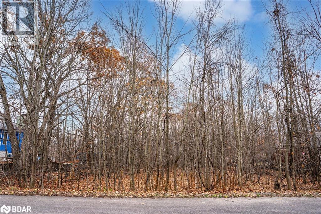 17 Valleyview Drive, Moonstone, Ontario  L0K 1N0 - Photo 3 - 40790699