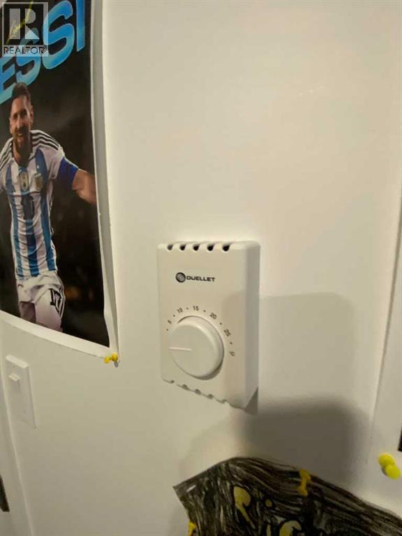 29 Weinmeyer Way, Duchess, Alberta  T0J 0Z0 - Photo 24 - A2272215