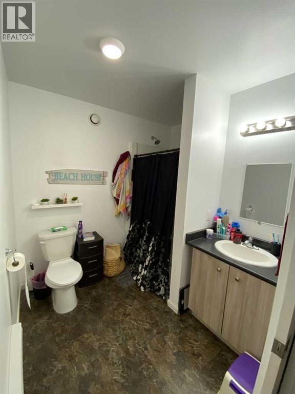 29 Weinmeyer Way, Duchess, Alberta  T0J 0Z0 - Photo 16 - A2272215