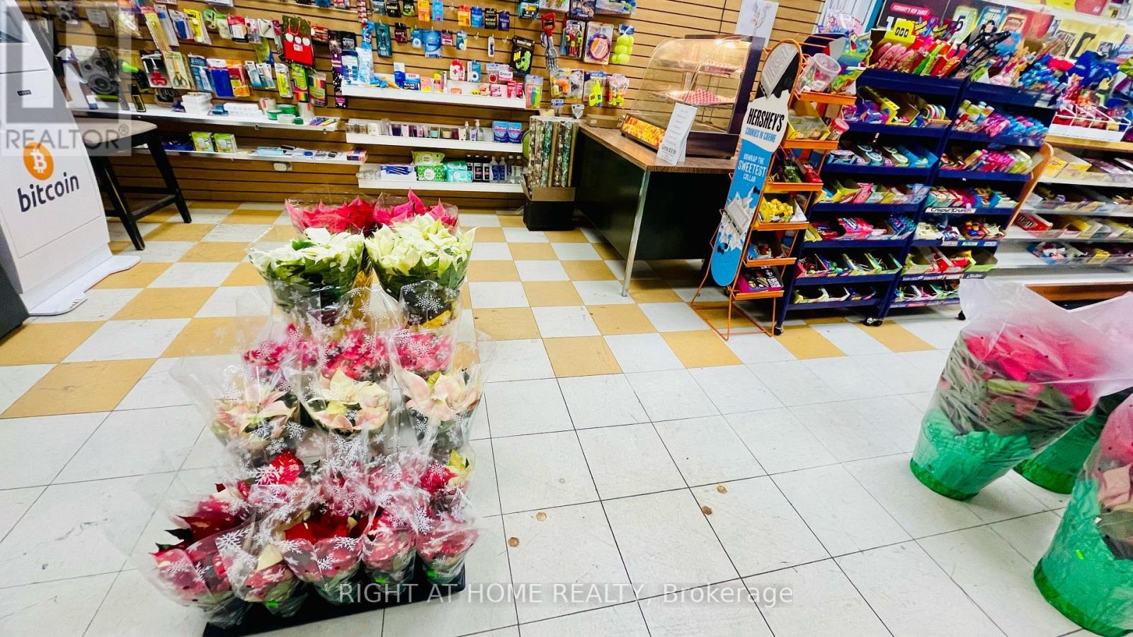 33 The Links Road, Toronto, Ontario M2P 1T7 - Photo 27 - C12409746