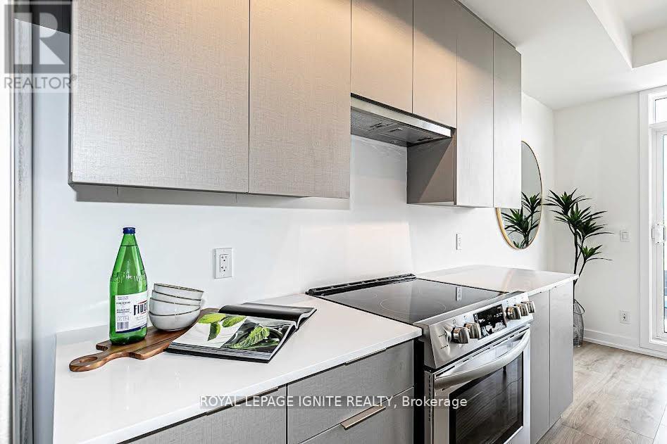 203 - 3058 Sixth Line, Oakville, Ontario  L6M 1P8 - Photo 5 - W12585268