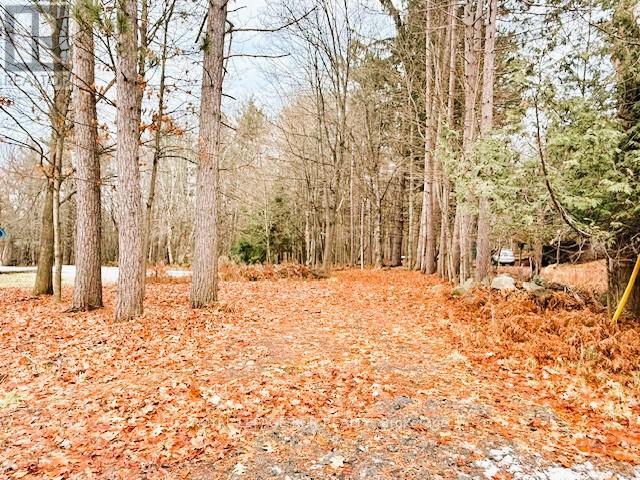 93 TOWN LINE ROAD W, Huntsville, Ontario