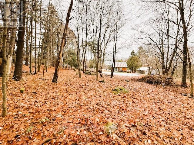 93 Town Line Road W, Huntsville, Ontario  P1H 1S6 - Photo 4 - X12585216