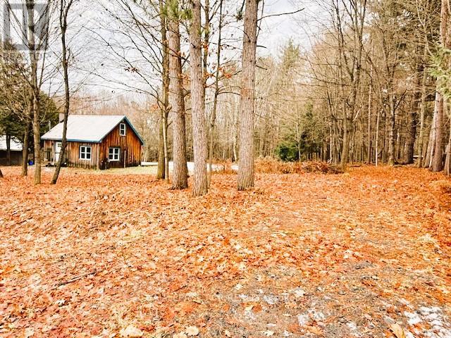 93 Town Line Road W, Huntsville, Ontario  P1H 1S6 - Photo 5 - X12585216