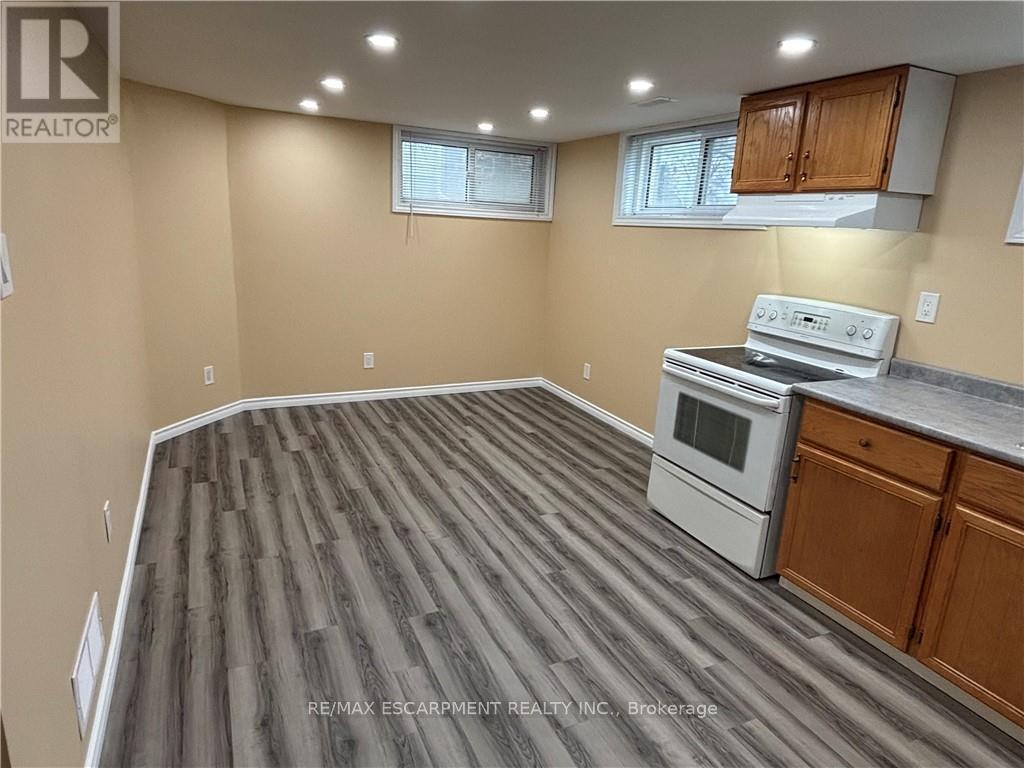 Lower Level - 1130 #24 Regional Road, West Lincoln, Ontario  L0S 1C0 - Photo 6 - X12585266