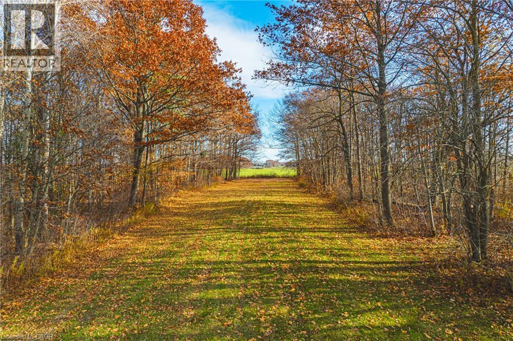 2276 Binbrook Road, Hamilton, Ontario  L0R 1C0 - Photo 37 - 40791163