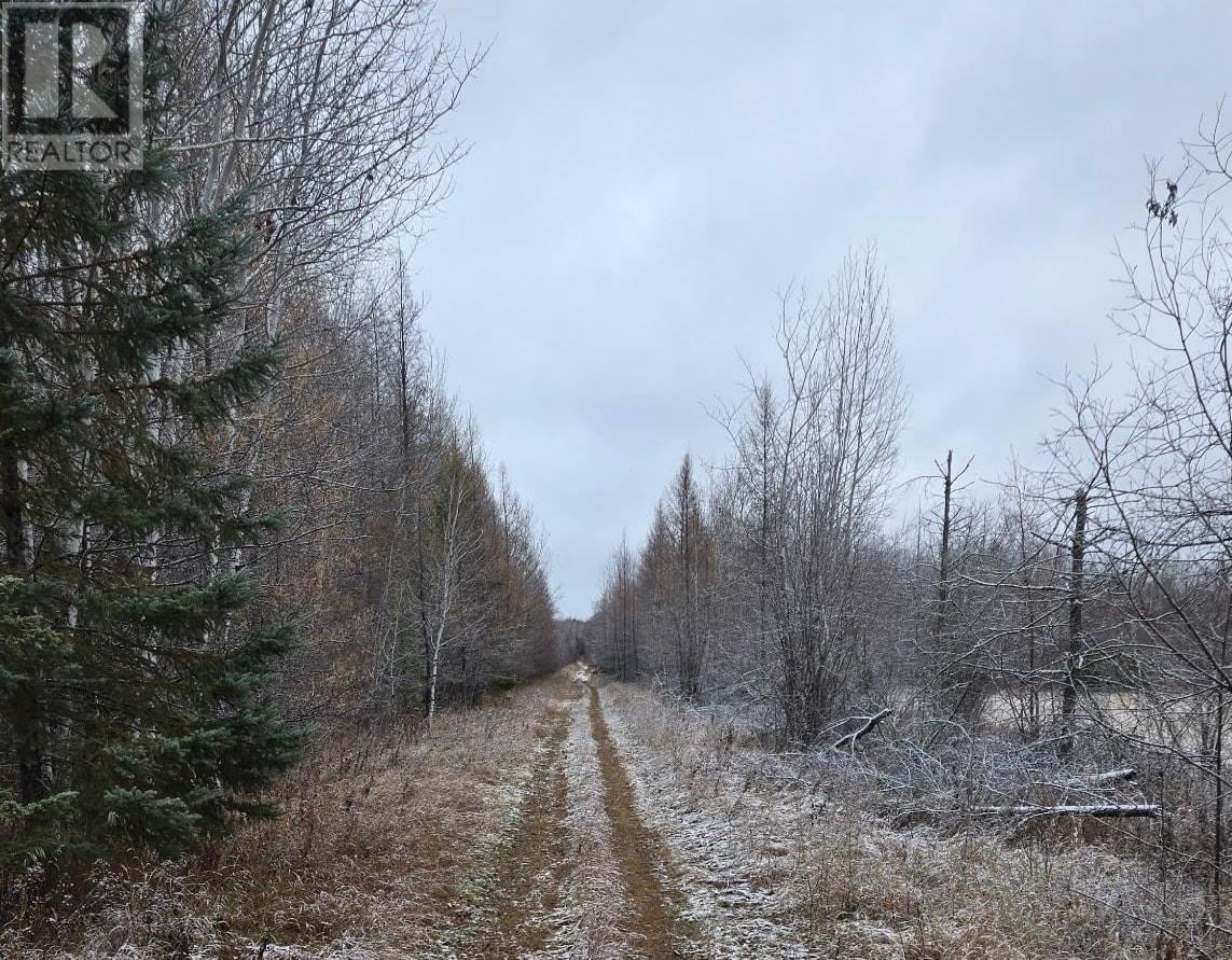 Pcl 11368, Township Of Morley, Ontario P0W 1N0 - Photo 6 - TB253536