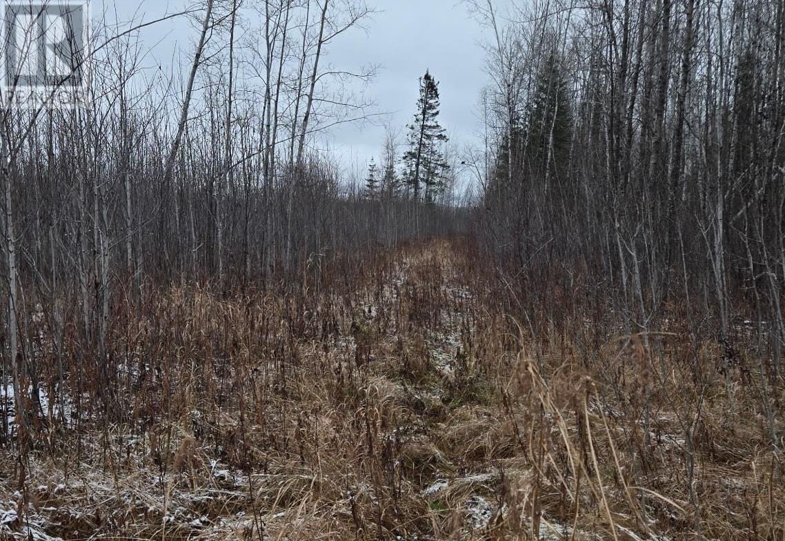 Pcl 11368, Township Of Morley, Ontario P0W 1N0 - Photo 8 - TB253536