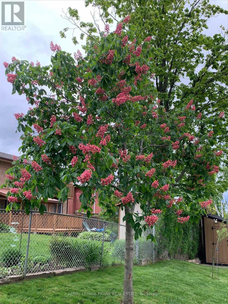 38 Clearview Court, Peterborough, Ontario  K9K 2A3 - Photo 42 - X12563512