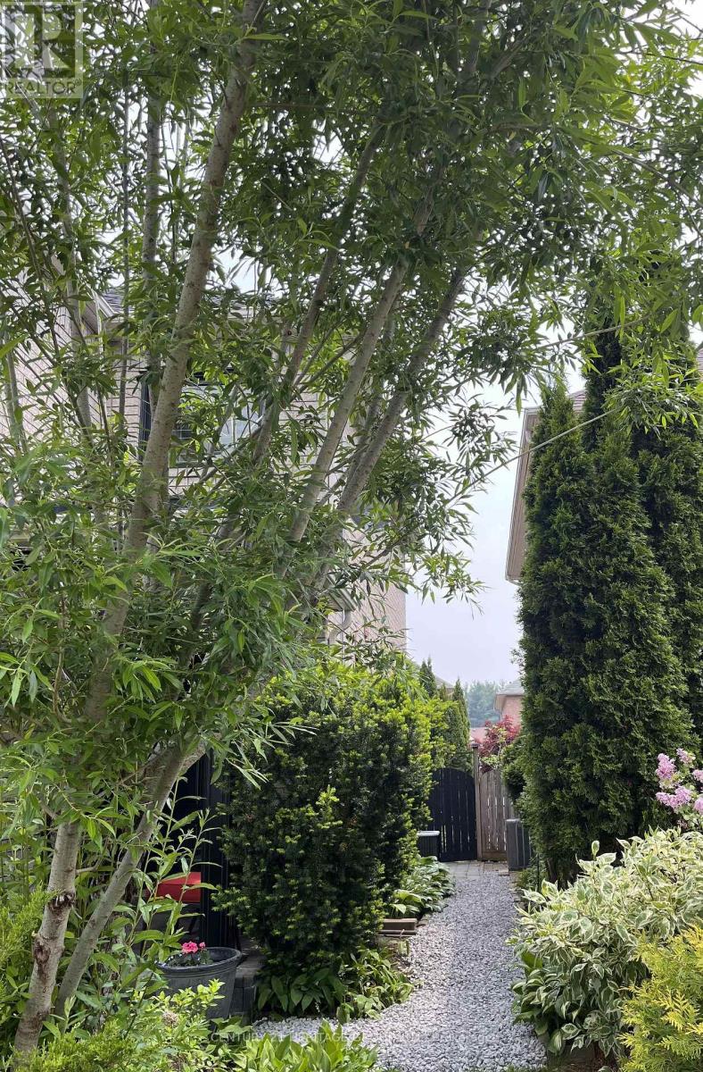 23 Long Point Drive, Richmond Hill, Ontario  L4E 3W9 - Photo 40 - N12582904