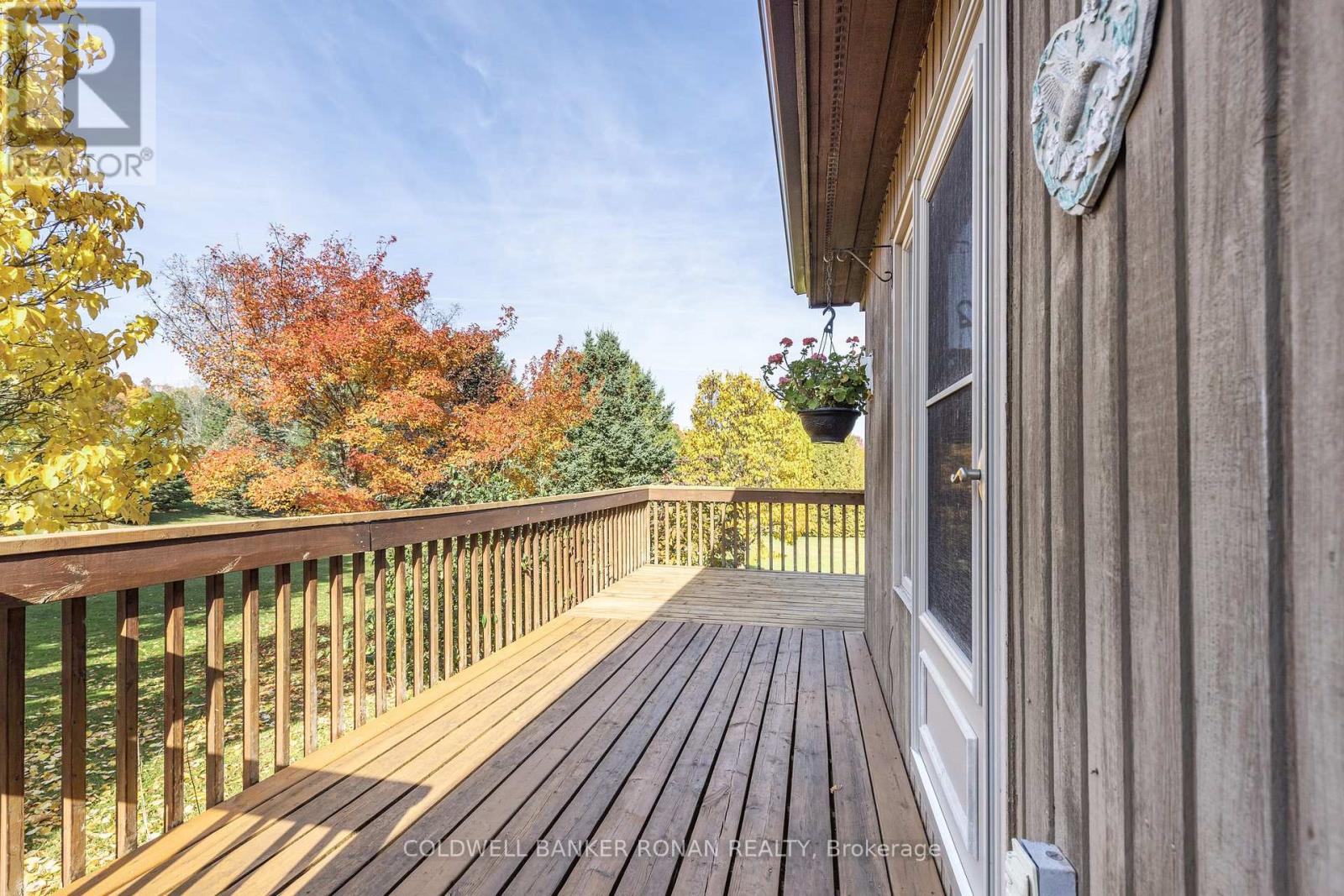 20 Mountainview Road, Mulmur, Ontario  L9V 3H5 - Photo 44 - X12276547