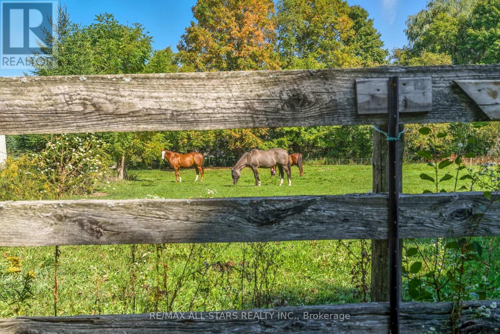 341 Feasby Road, Uxbridge, Ontario  L9P 1R1 - Photo 47 - N12585594