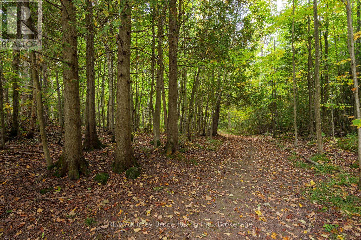217 Kings Crescent, South Bruce Peninsula, Ontario  N0H 2T0 - Photo 27 - X12585626