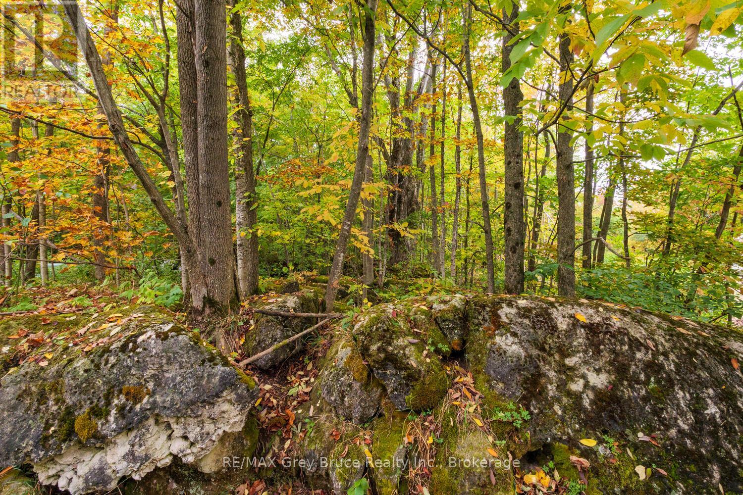 217 Kings Crescent, South Bruce Peninsula, Ontario  N0H 2T0 - Photo 34 - X12585626