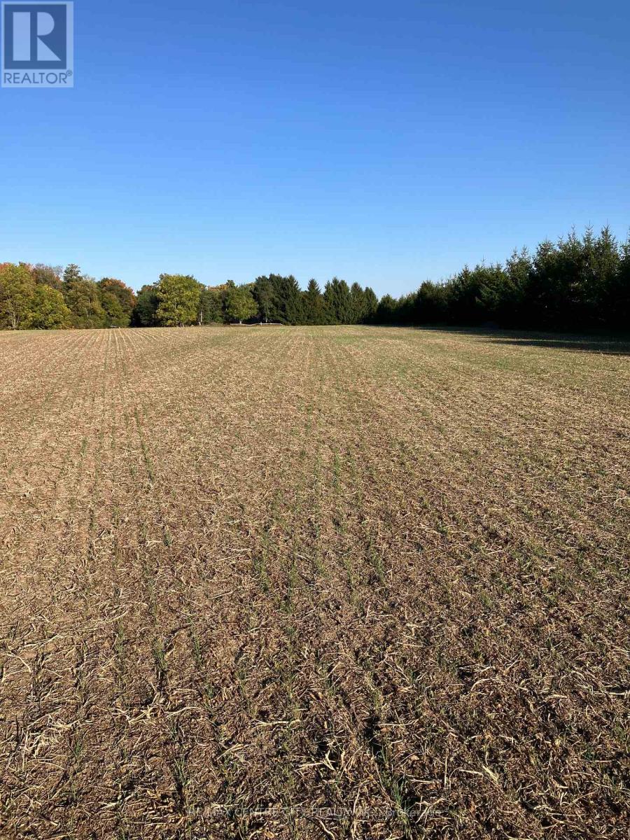 Ptlot26 Prince William Street, North Middlesex, Ontario  N0M 2J0 - Photo 6 - X12424315