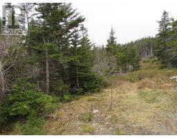 2 Penney's Road, Holyrood, Newfoundland & Labrador