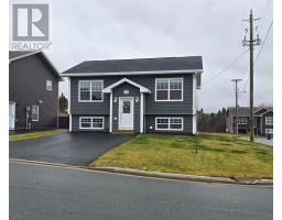 15 Valley Brook Place, Conception Bay South, Newfoundland & Labrador
