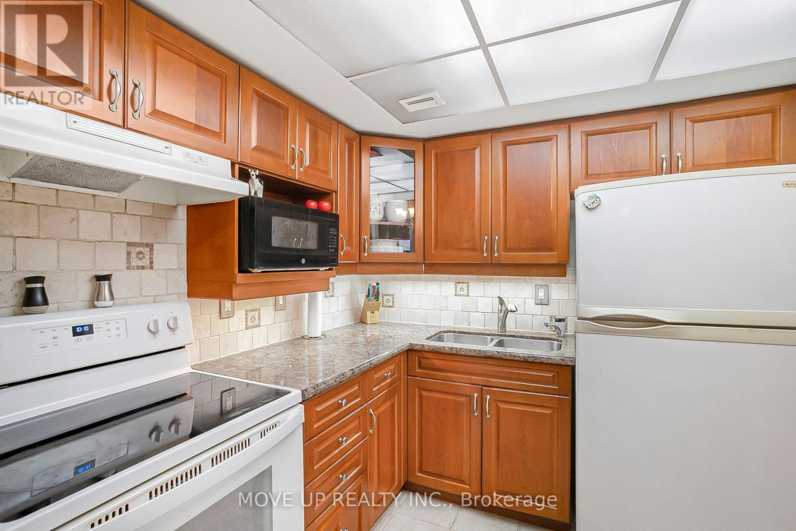 203 - 249 Major Mackenzie Drive E, Richmond Hill, Ontario  L4C 9M8 - Photo 8 - N12585676
