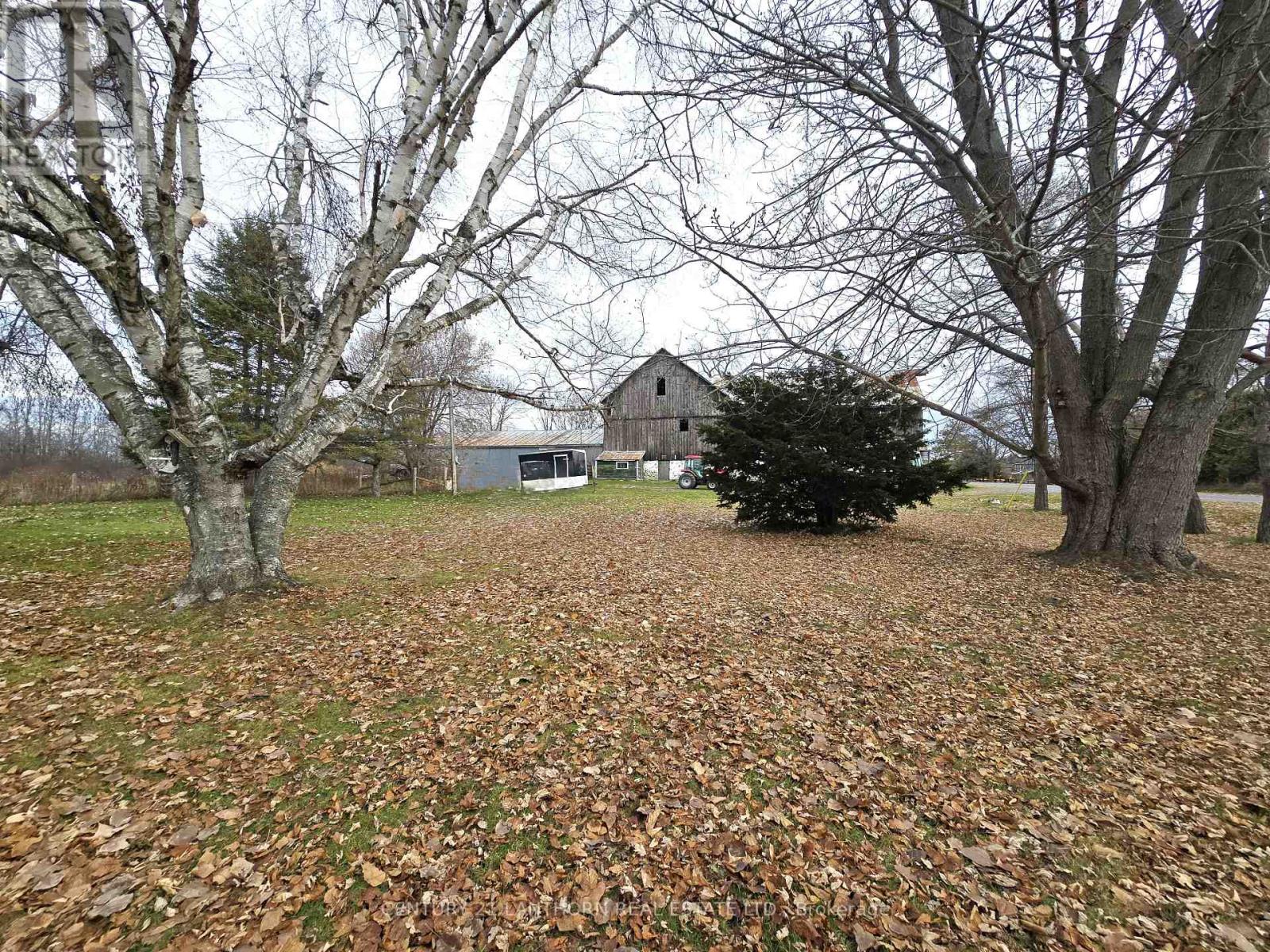 175 Hall Settlement Road, Belleville, Ontario  K0K 2V0 - Photo 38 - X12585740