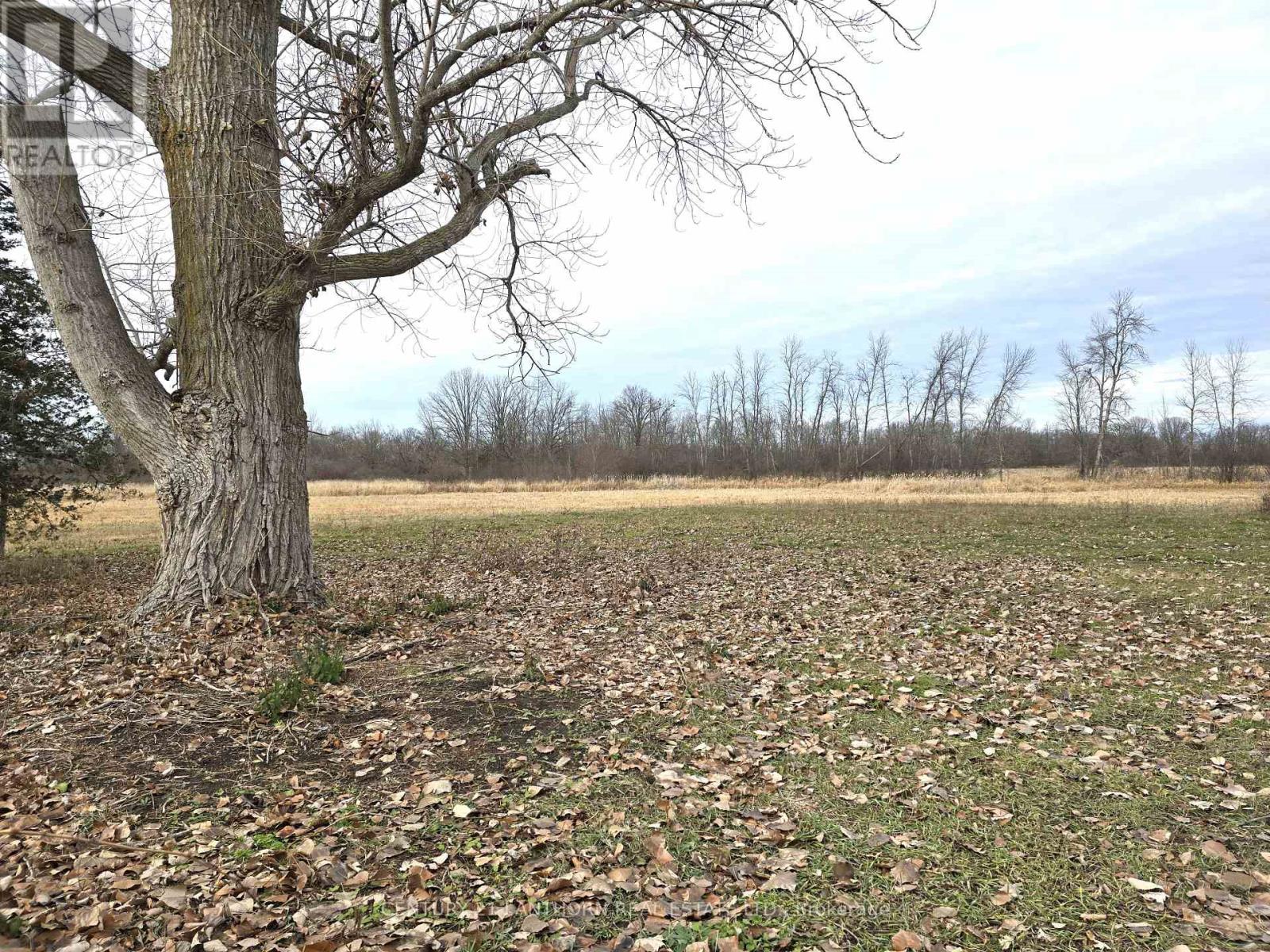 175 Hall Settlement Road, Belleville, Ontario  K0K 2V0 - Photo 42 - X12585740