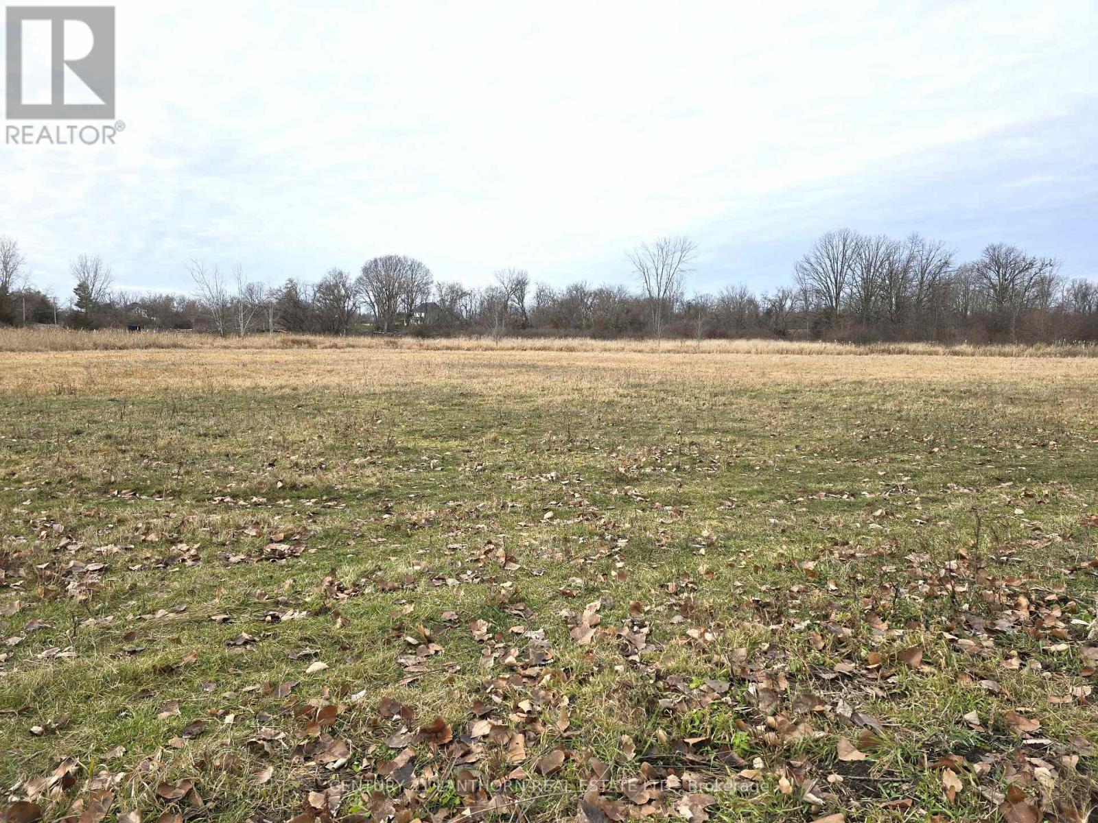 175 Hall Settlement Road, Belleville, Ontario  K0K 2V0 - Photo 43 - X12585740