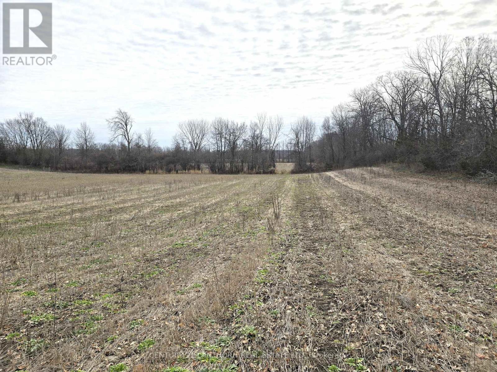 175 Hall Settlement Road, Belleville, Ontario  K0K 2V0 - Photo 44 - X12585740