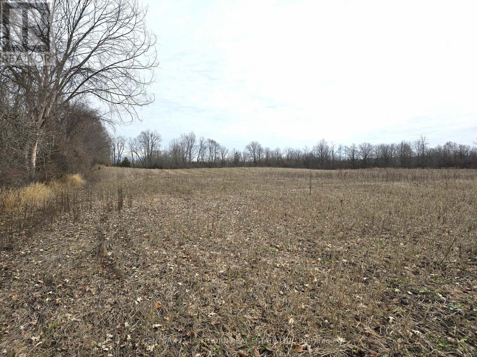 175 Hall Settlement Road, Belleville, Ontario  K0K 2V0 - Photo 47 - X12585740