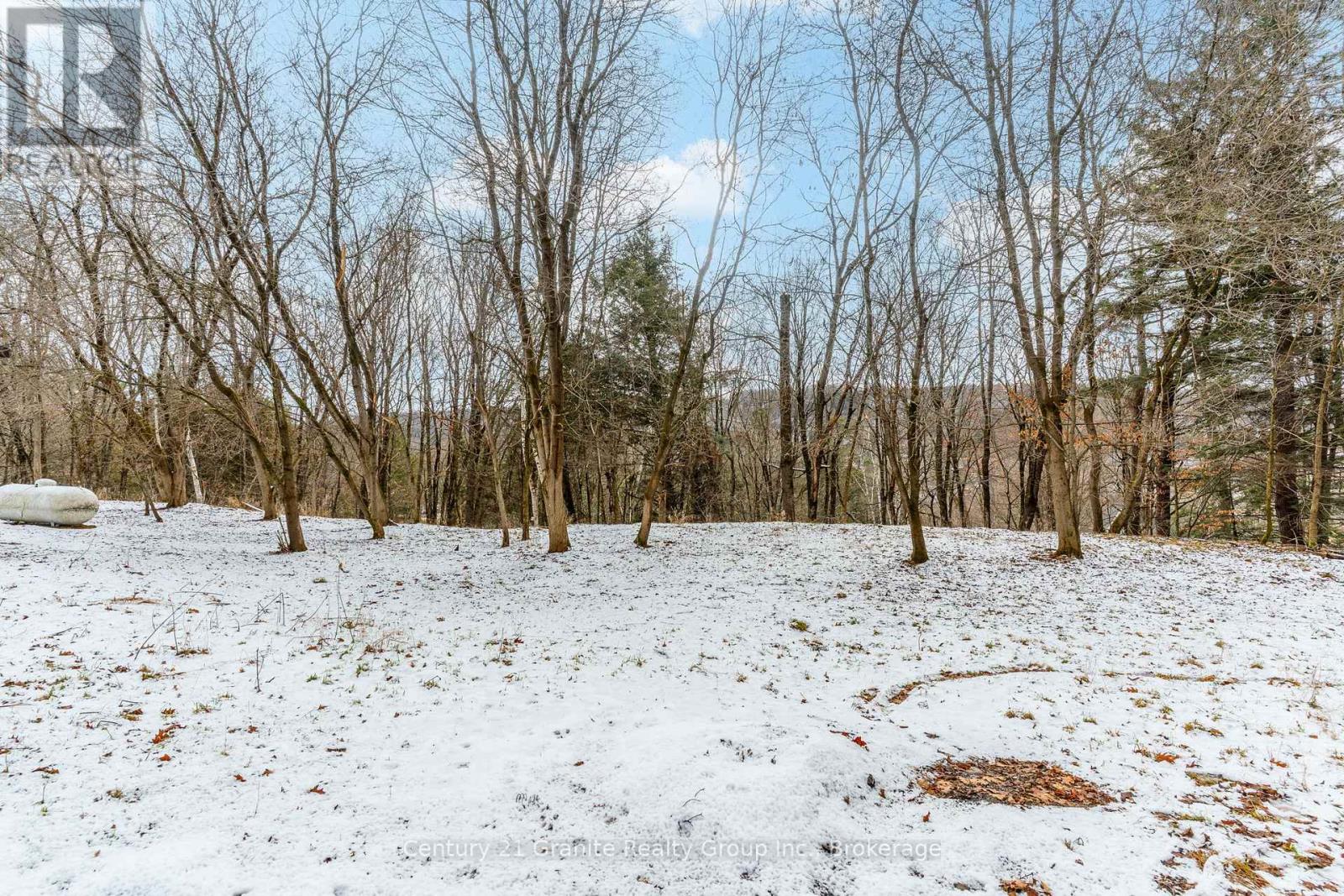 38 Lakeview Street, Dysart Et Al, Ontario  K0M 1S0 - Photo 38 - X12585728