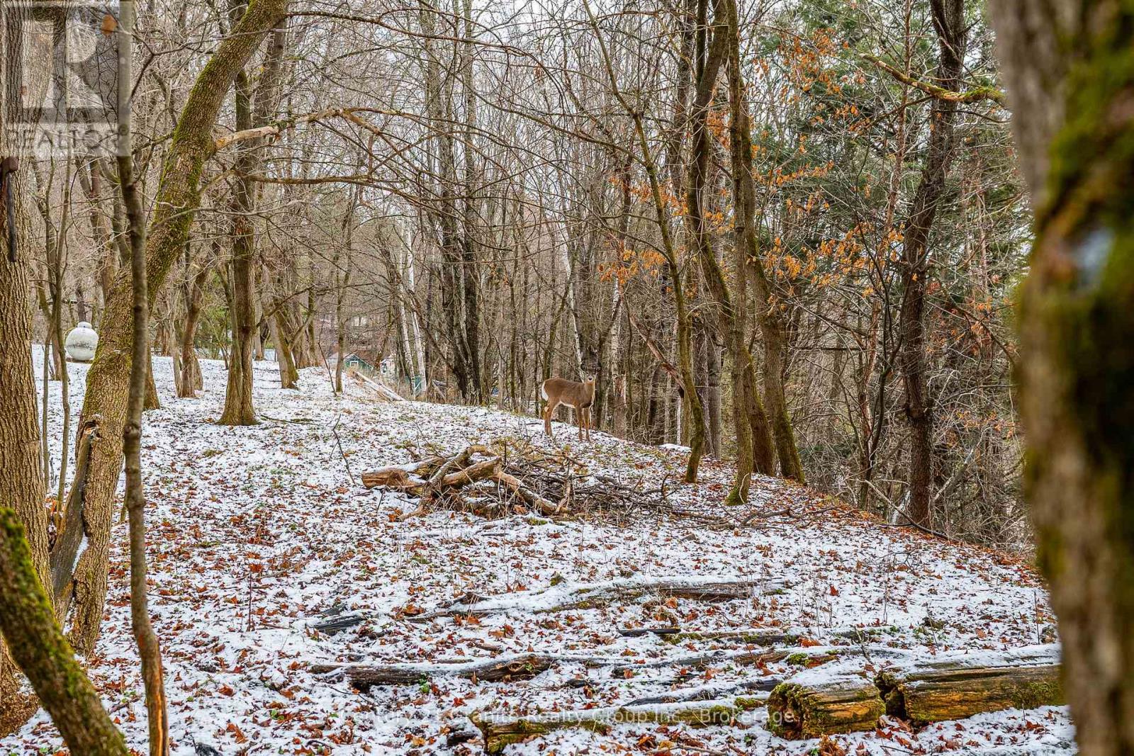 38 Lakeview Street, Dysart Et Al, Ontario  K0M 1S0 - Photo 43 - X12585728