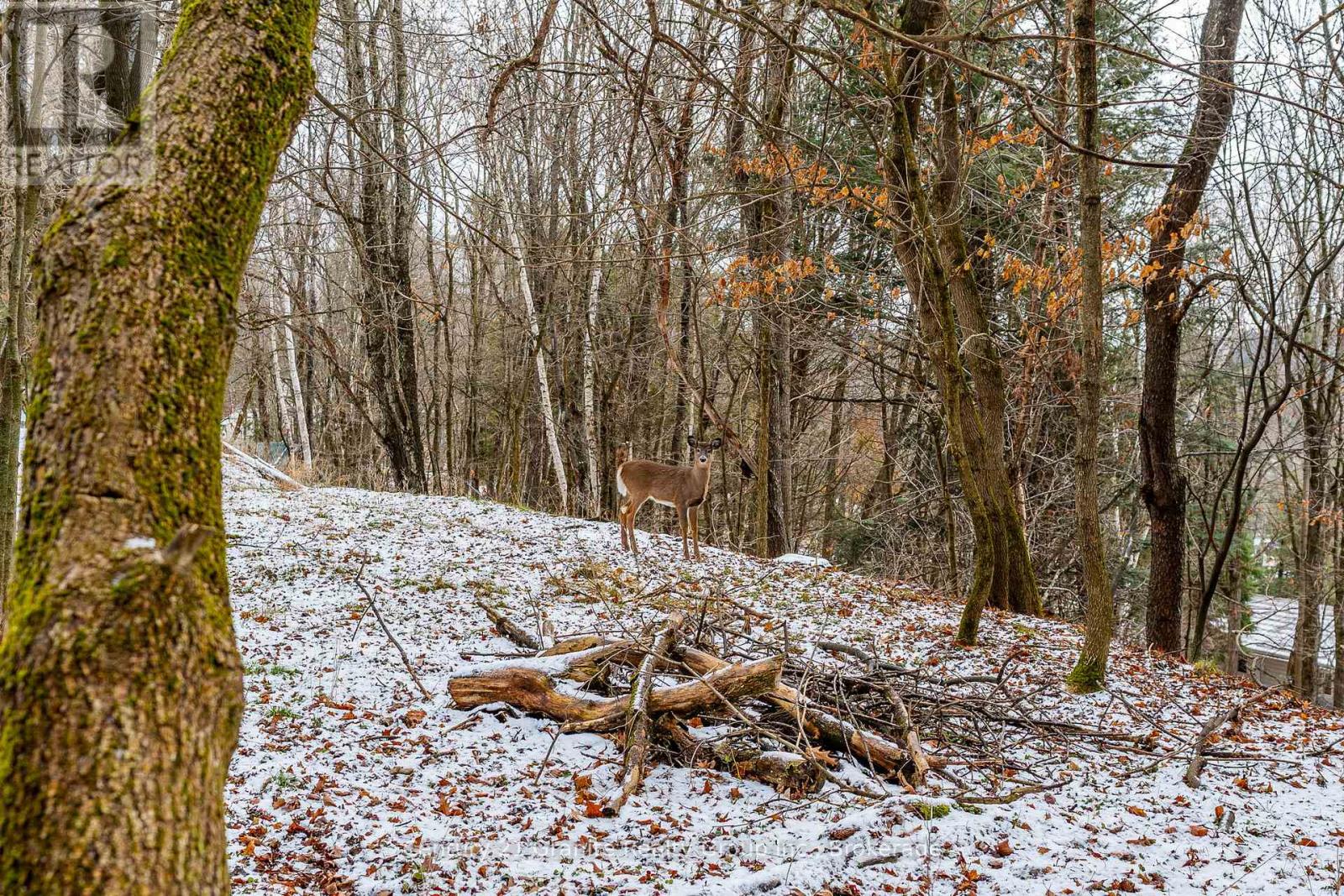 38 Lakeview Street, Dysart Et Al, Ontario  K0M 1S0 - Photo 49 - X12585728