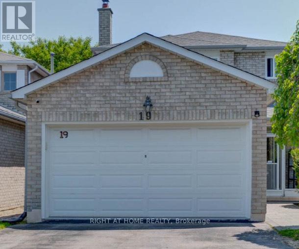 BASEMENT - 19 BINGHAM STREET, Richmond Hill, Ontario