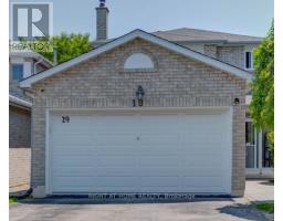 BASEMENT - 19 BINGHAM STREET, Richmond Hill, Ontario