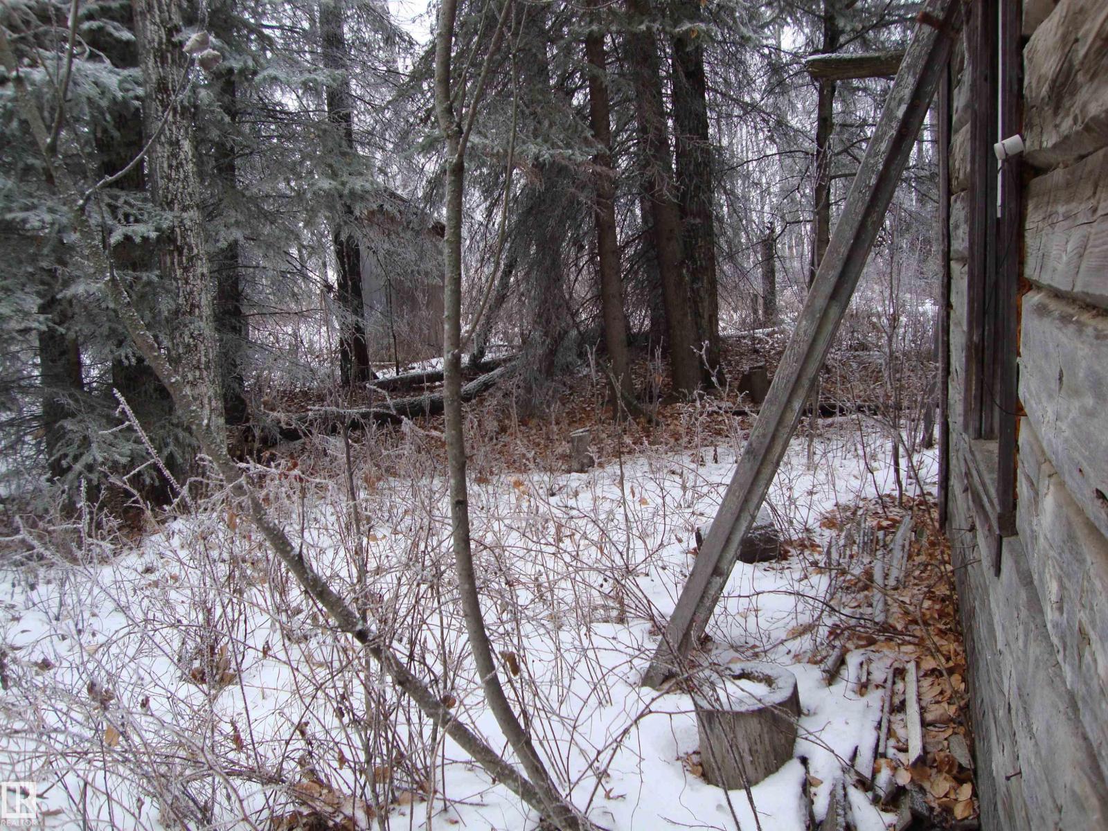 Rr213 Twp624, Rural Thorhild County, Alberta  T0A 3J0 - Photo 12 - E4466983