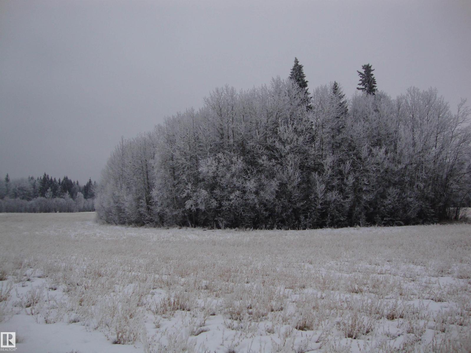 Rr213 Twp624, Rural Thorhild County, Alberta  T0A 3J0 - Photo 2 - E4466983