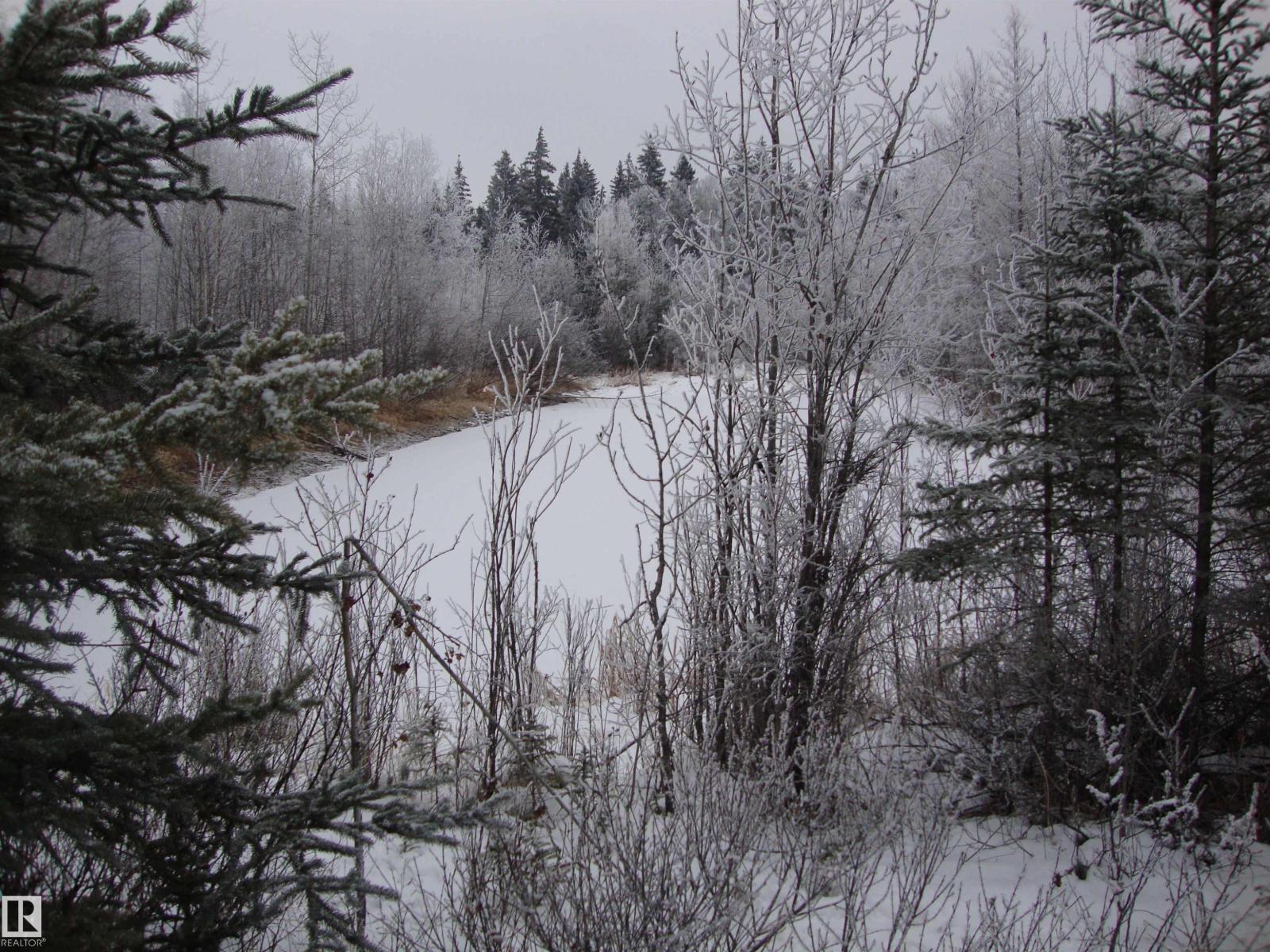 Rr213 Twp624, Rural Thorhild County, Alberta  T0A 3J0 - Photo 3 - E4466983