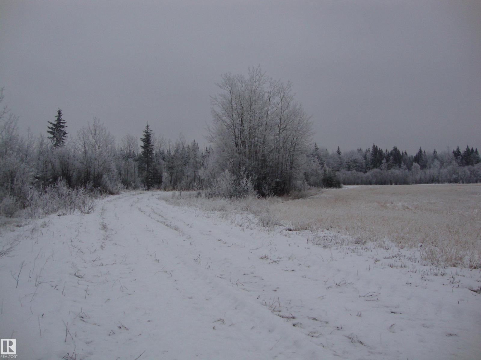 Rr213 Twp624, Rural Thorhild County, Alberta  T0A 3J0 - Photo 7 - E4466983
