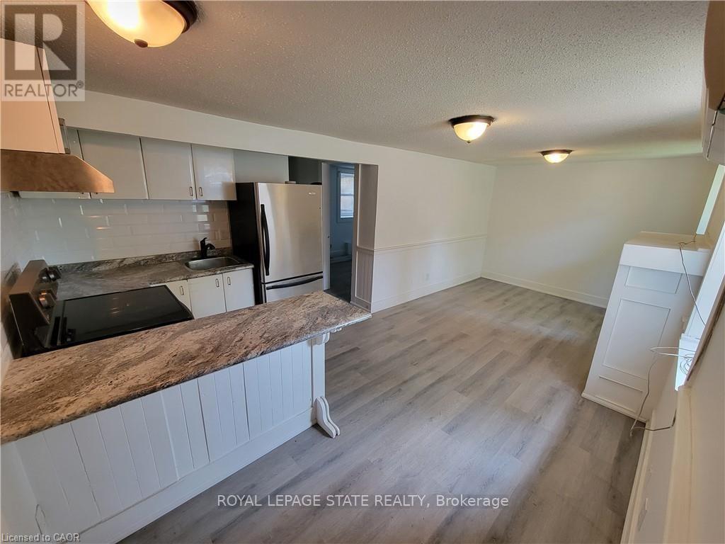 Lower - 98 West Avenue N, Hamilton, Ontario  L8L 5C3 - Photo 2 - X12585762