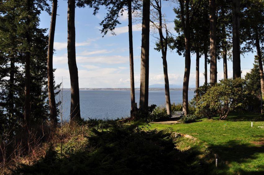 12631 15 Avenue, Surrey, British Columbia  V4A 1K1 - Photo 4 - R3066459