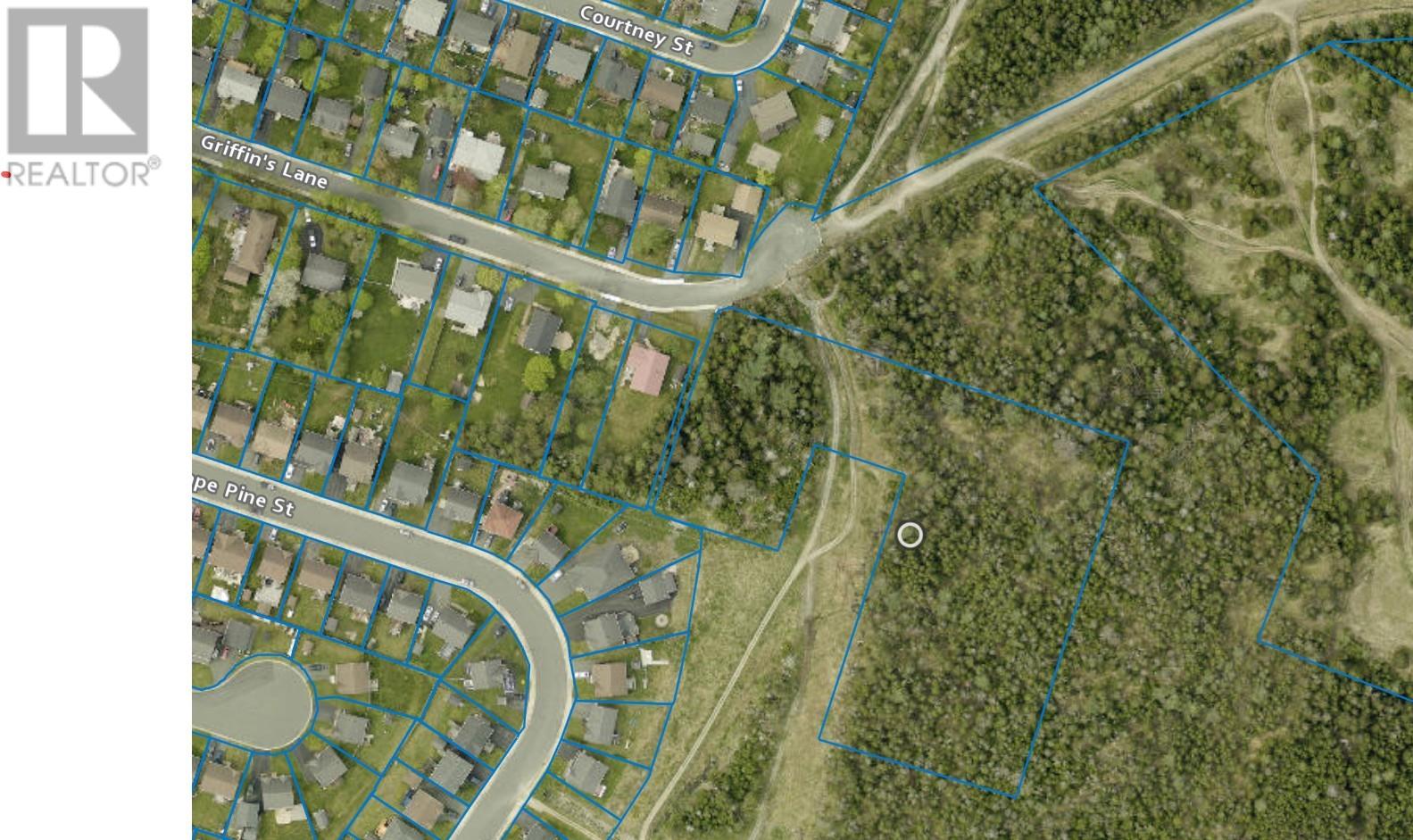 36 Griffins Lane, St. John's, Newfoundland & Labrador